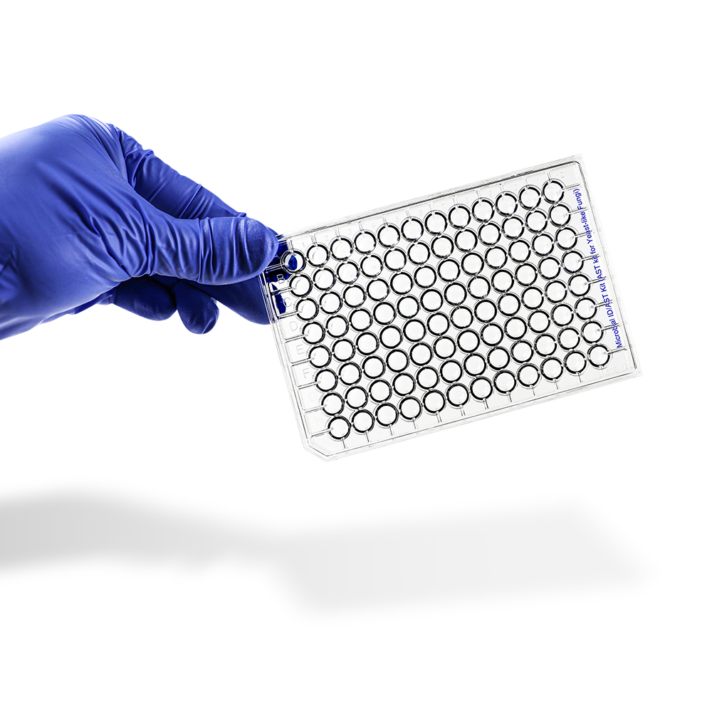 Product image loading ......