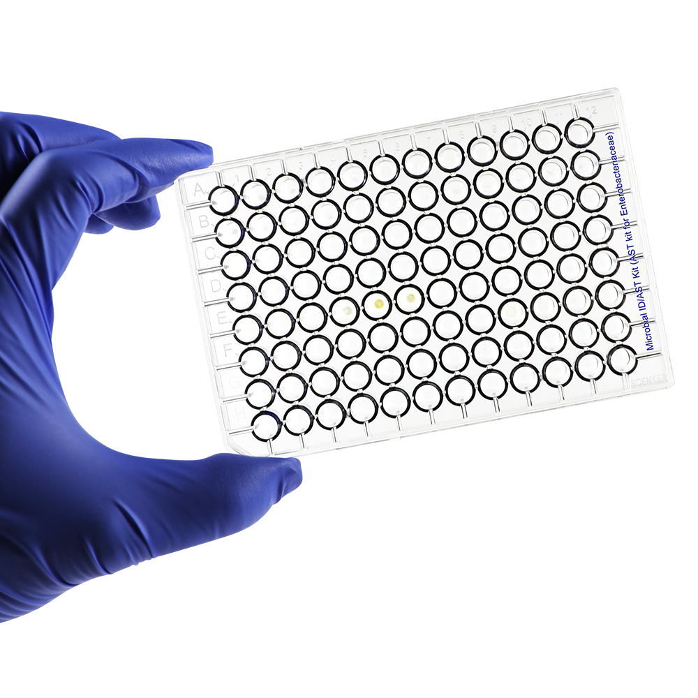 Product image loading ......