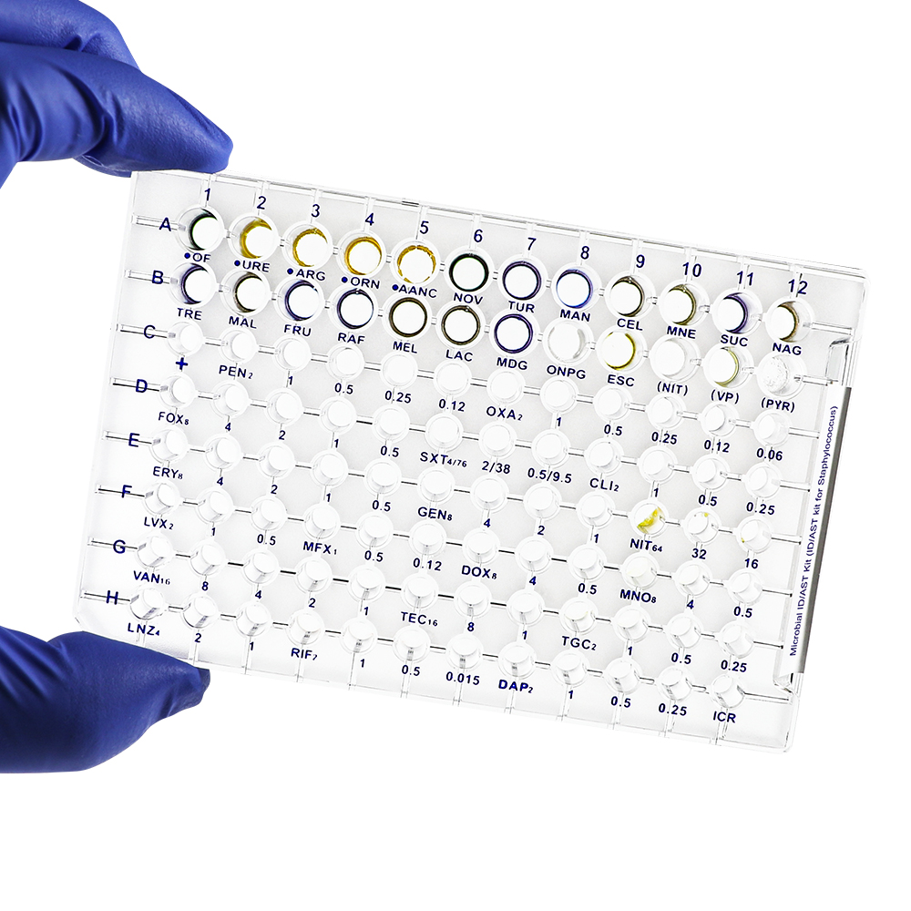 Product image loading ......