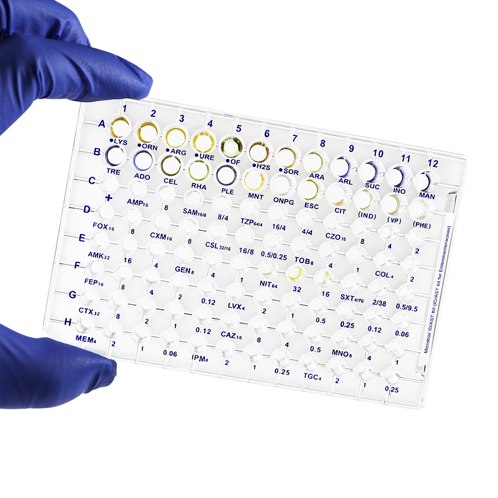 Product image loading ......