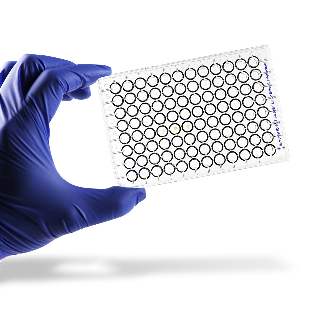 Product image loading ......