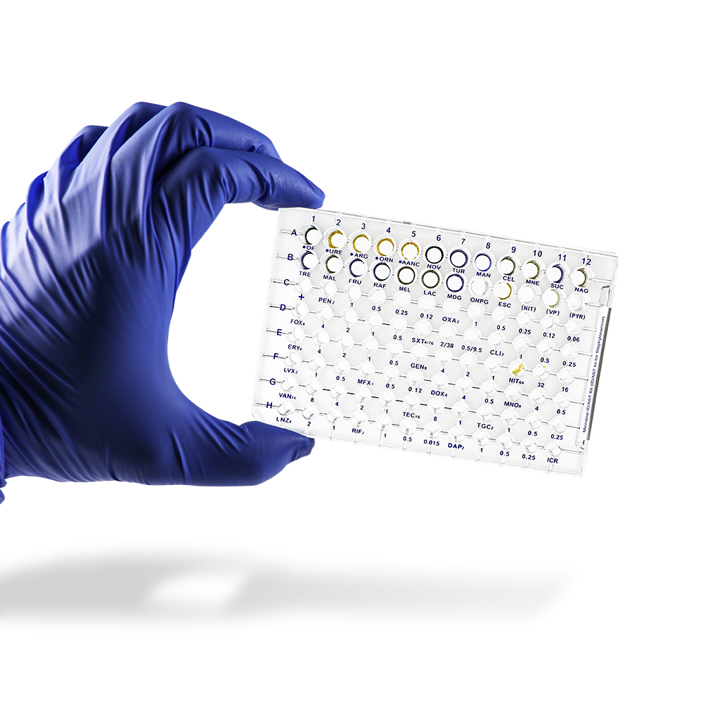 Product image loading ......